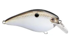 STRIKE KING KVD HC CRANK BAITS 1.5